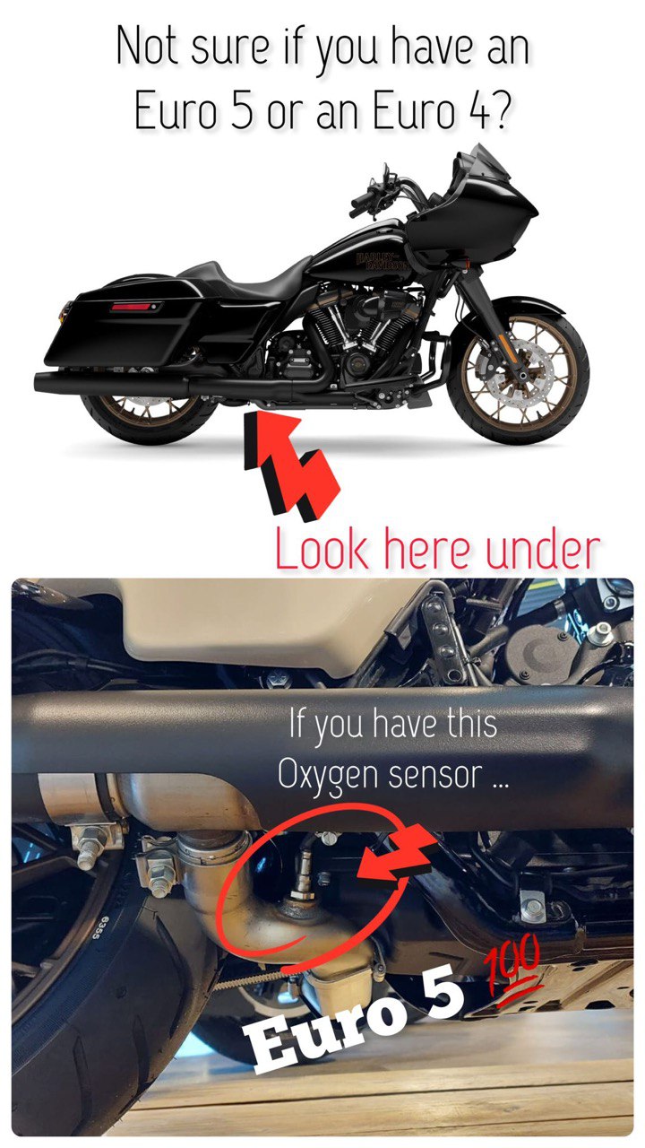 Malparidos 2:1 Exhaust System Touring M8 - Image 2