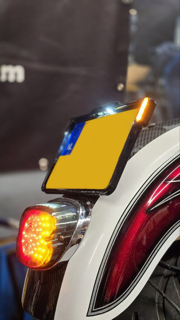 DMP Motorcycle License Plate Holder - Image 11