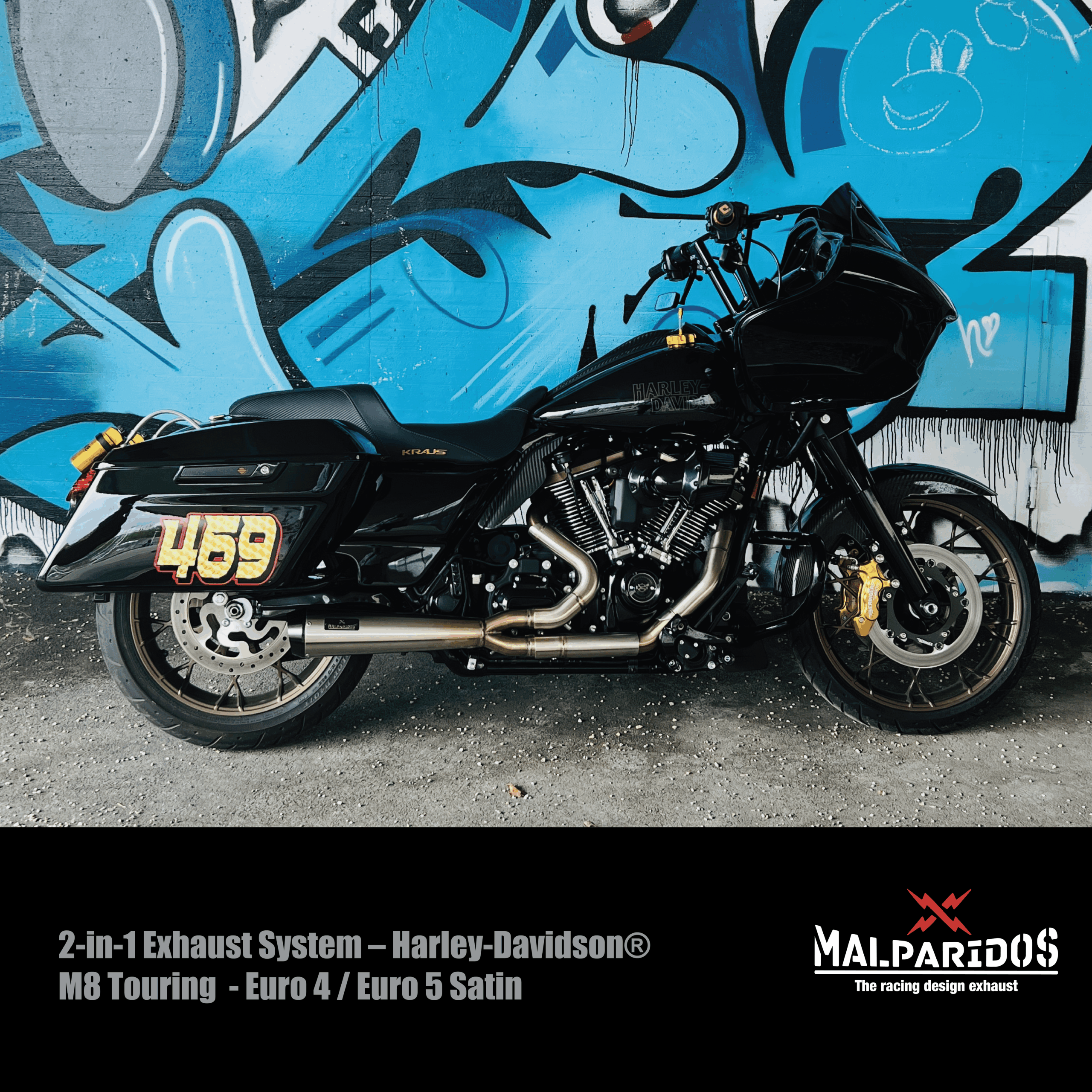 Malparidos 2:1 Exhaust System Touring M8 - Image 8