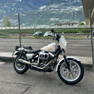Malparidos 2:1 Exhaust System FXR 5 speed