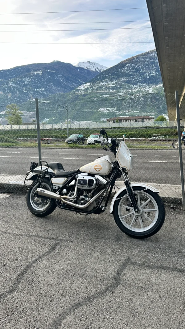 Malparidos 2:1 Exhaust System FXR 5 speed